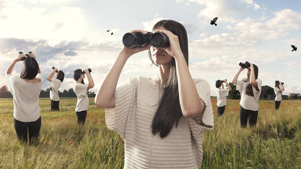 The 5 Best Binocular Brands for New Birders Freebirders